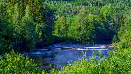 Norway landscape view with green forest and river in the valleyの写真素材