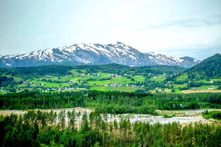 Nature view of Norway countryside with green meadow field forest and mountain top with snow in backgroundの写真素材