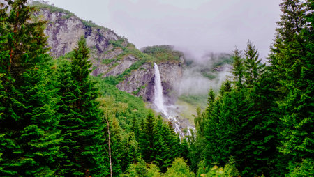 Waterfall flowing from the cliff in the middle of the forest in Flamselvi at Flam, Norwayの写真素材