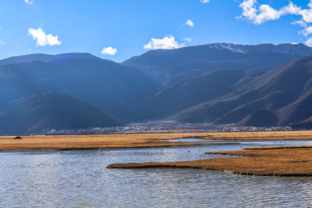 Napahai Grassland Scenic Area And Napahai Lake Surrounded by Snow-Capped Mountain In Shangri-La, Yunnan, Chinaの写真素材