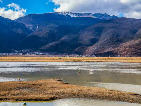 Napahai Grassland Scenic Area And Napahai Lake Surrounded by Snow-Capped Mountain In Shangri-La, Yunnan, Chinaの写真素材
