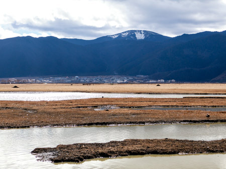 Napahai Grassland Scenic Area And Napahai Lake Surrounded by Snow-Capped Mountain In Shangri-La, Yunnan, Chinaの写真素材