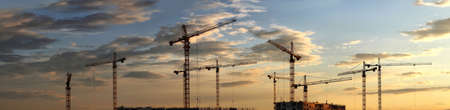 Large-format panorama with a group of construction cranes on the background of the sunsetのeditorial素材