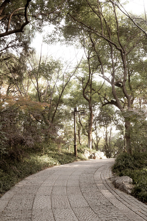 Walkway crushed stone route for walking and hiking and biking go to forest nature backgroundの写真素材