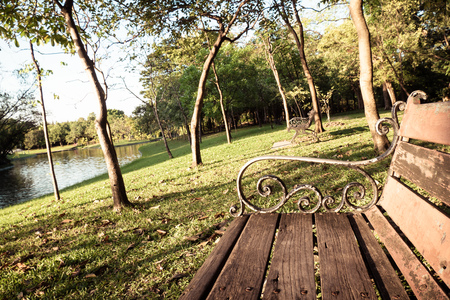 close up wooden bench in Park in sunlight relax nature autumn background lifestyleの写真素材