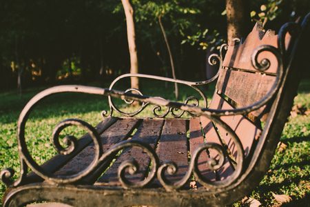 close up wooden old bench in summer Park sunlight sunbath life backgroundの写真素材