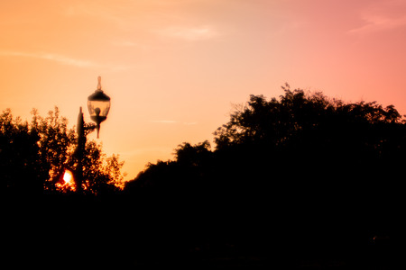 Silhouette of a lantern,  trees   colorful autumnal vanilla pink sky in background. Landscape with vivid colors during a sunset. Pastel tones during the autumn season beautiful nature backgroundの写真素材