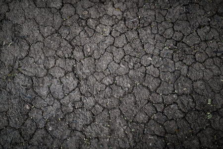 Surface of a grungy dry cracking parched earth for textural background.