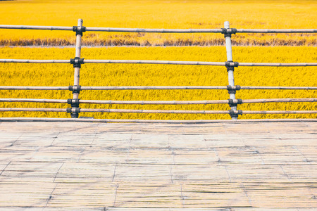wooden pathway bamboo texture Asian construction method  beside yellow gold wheat rice  field in summer nature backgroundの写真素材