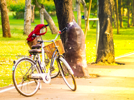 bicycle in Park Summer time Holiday Spring, lifestyle green nature background.の写真素材