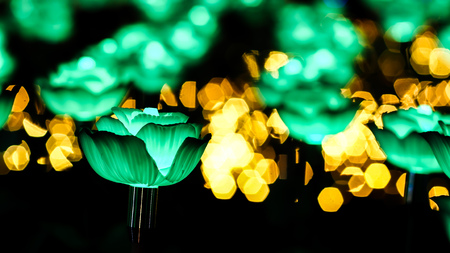 Roses on abstract bokeh background for love Valentineâs Day greeting cardの写真素材
