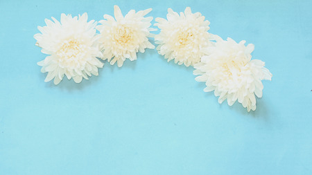 Flowers composition made of white flowers on blue background. Flat lay, top viewの写真素材