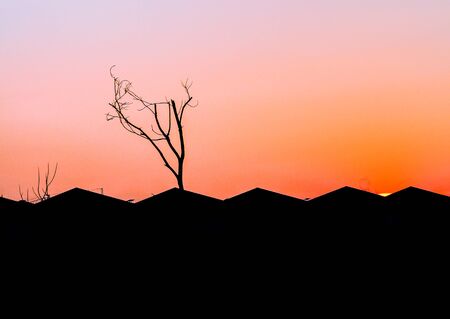 city urban houses silhouette at sunset orange skyの写真素材