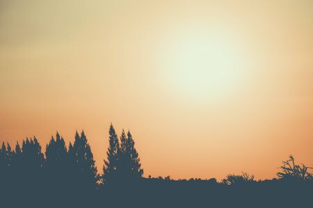 landscape. Silhouette of coniferous trees on the background of mountains and colorful sky. Sunseの写真素材
