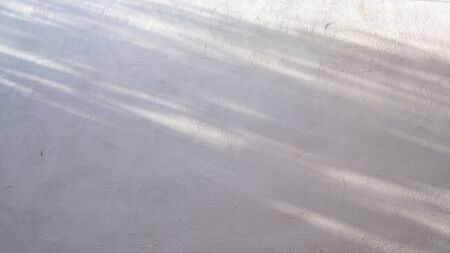 Abstract gray shadow background of natural shading falling on white cement concrete wall texture for background and wallpaper, black and white monochrome tone . idea for decorate home atmosphereの写真素材