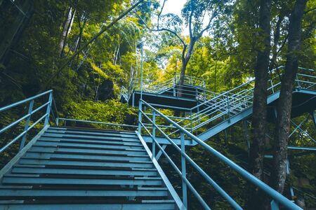 climbing stairs during fall autumn season outdoors . Autumn in the park .  yellow leaf in Autumn season . season change . turning and changing moving on concept idea backgroundの写真素材