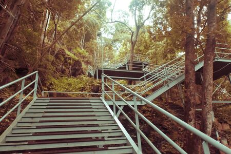 climbing stairs during fall autumn season outdoors . Autumn in the park .  yellow leaf in Autumn season . season change . turning and changing moving on concept idea backgroundの写真素材