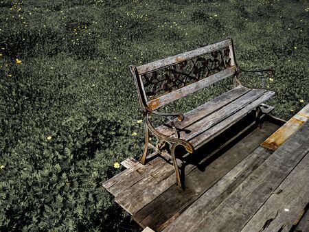 old rustic vintage wooden bench in summer cosmos flowers field Background . Spending time among nature on holiday concept ideaの写真素材