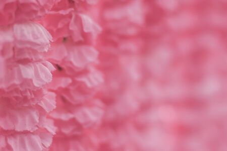 Selective focus Beautiful Pink flowers background . abstract soft sweet pink flower background .Beautiful  pink roses flower blossom flower background design floral . valentine's day backgroudの写真素材