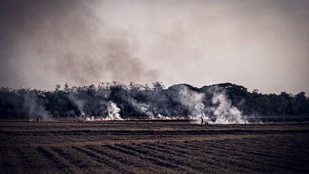 Air quality caused . Agricultural Burning in rural area of Thailand .  Farmers burn their fields to remove plants . prescribed burns . Farmers regularly set fires to clear new tracts of landの写真素材