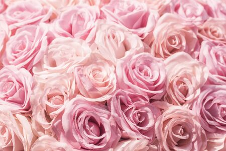 Selective focus Beautiful Pink flowers background. Abstract soft sweet pink flower background .Beautiful pink roses flower blossom flower background design floral. Valentine âs Day backgroundの写真素材