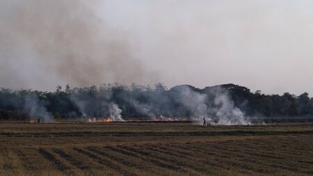 Slash-and-burn agriculture. Fire-fallow cultivation. Fire-fallow cultivation. AIR QUALITY POLICY .clean air problem. Air pollution PM2.5.Open agricultural burning | Climate & Clean Air Coalitionの写真素材