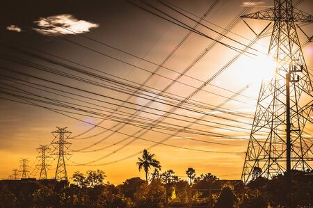 Electric power line plant station tower pole in the field on sunset background. Abstract energy power.の写真素材