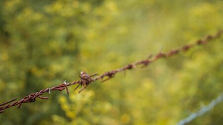 Selective focus barbed wire fence Rust wire fence stock image. Image of fence, danger, galvanized. Country fence.の写真素材