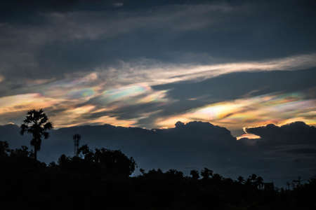 Silhouette forest and palm tree against dramatic color rainbow sky nature phenomena beautiful cloudscapeの写真素材