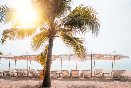 Deckchairs And Parasol With Palm Trees In The Tropical Beach.Beach in Thailand Asia and umbrellas on the beachの写真素材
