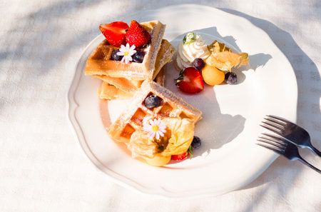 Homemade breakfast  Strawberry and tropical fruits  Waffles with  chocolate syrupの写真素材