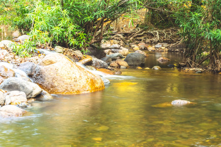Jungle landscape with amazing stream at deep tropical rain forest. travel landscape and destinations...