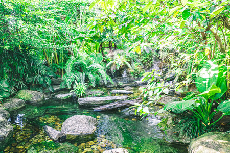 waterfall in tropical garden during spring season.  beautiful landscaping with beautiful plantsの写真素材