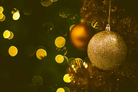 Path way and Field of Wild Wheat Grass nature backgroundの写真素材