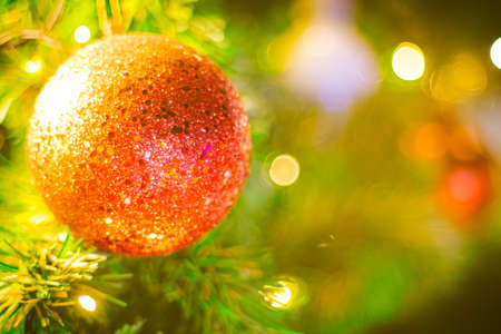 Path way and Field of Wild Wheat Grass nature backgroundの写真素材