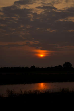 Dramatic  sunset landscape with dark  sky, silhouettes of trees and lake. sky of lake landscapeの写真素材
