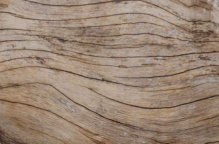 Old Rough Rustic Wooden Chopping Board Texture And Background material decoration interior architectureの写真素材