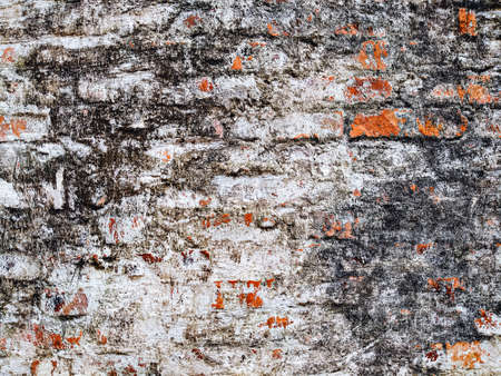 Old rustic brick wall natural texture of wall for abstract backgroundの写真素材