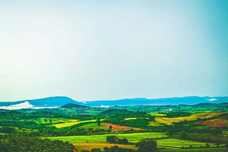 Foggy summer morning in the mountains. countryside landscape in morning light.の写真素材