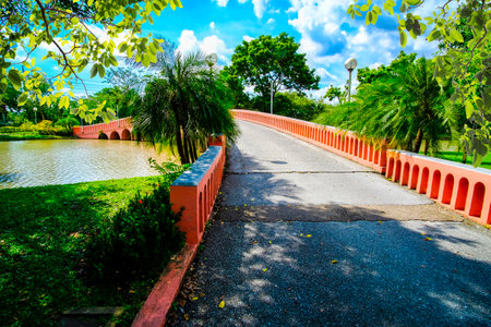brige over pond Chatuchak Park, Public Park in Bangkok Thailand.の写真素材