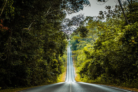 Straight road in countryside on hill slope surrounding by green trees inside tropical rainforest...