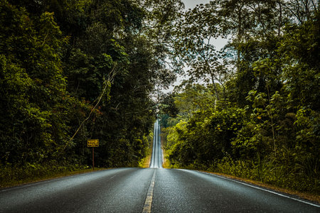 Straight road in countryside on hill slope surrounding by green trees inside tropical rainforest area.の写真素材