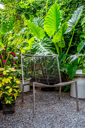 A relax corner in the garden park with steel benchの写真素材