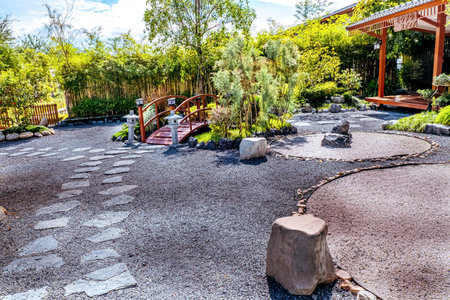Traditional zen Japanese garden landscape design decoration with tree and rockの写真素材