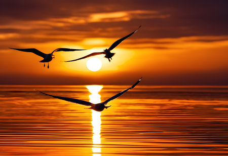 Flying seagulls silhouetted against a glowing sunset over the ocean.の素材