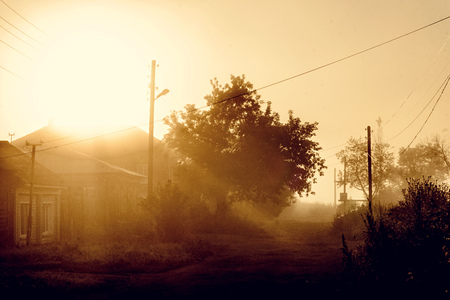 Awesome nature.  Beautiful mist and soft sunshine of amazing sunrise in village area.の写真素材