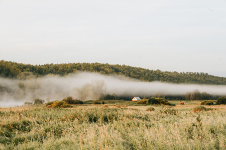 Awesome nature.  Beautiful photo of silent morning landscape with soft fog in autumn russian field.の写真素材