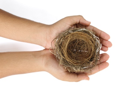 nest on the safe hand の写真素材