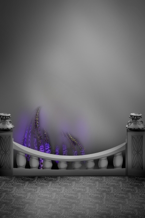 studio backgroundの写真素材