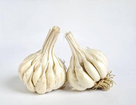 garlic knoblauchkollenの写真素材